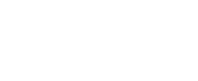 Discuss Web Services with Little Lion Digital